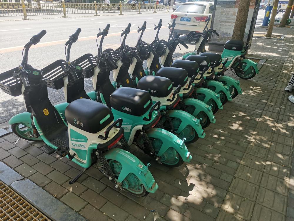 共享单车排好队 城管助力换新颜